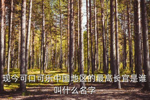 現(xiàn)今可口可樂(lè)中國(guó)地區(qū)的最高長(zhǎng)官是誰(shuí)叫什么名字