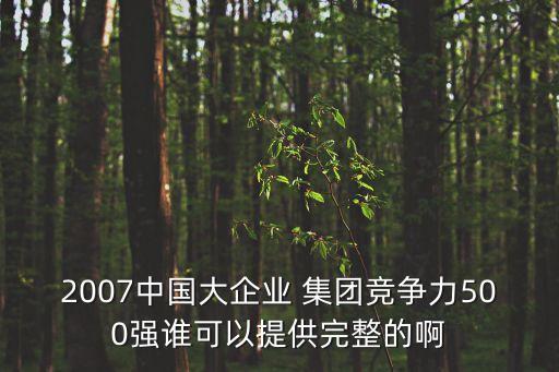 2007中國大企業(yè) 集團(tuán)競爭力500強(qiáng)誰可以提供完整的啊