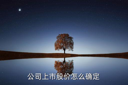 股票定價方式,股票發(fā)行的定價方式可以采取