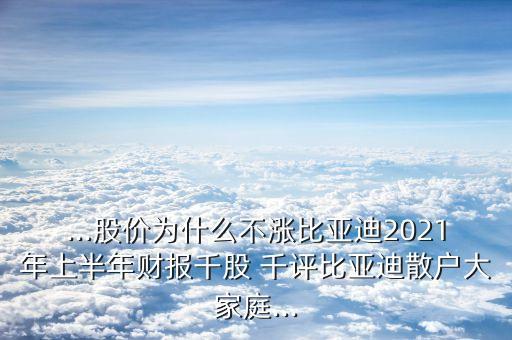 ...股價(jià)為什么不漲比亞迪2021年上半年財(cái)報(bào)千股 千評比亞迪散戶大家庭...