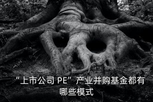 “上市公司 PE”產業(yè)并購基金都有哪些模式