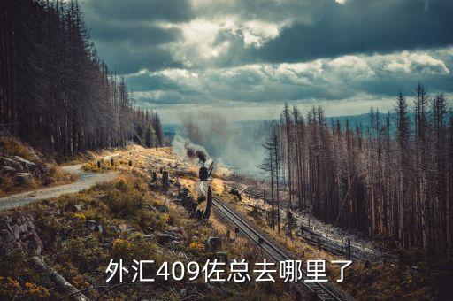  外匯409佐總去哪里了