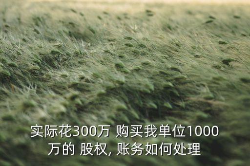 實(shí)際花300萬 購買我單位1000萬的 股權(quán), 賬務(wù)如何處理