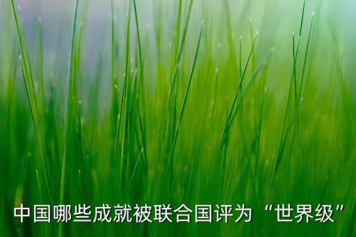 中國哪些成就被聯(lián)合國評(píng)為“世界級(jí)”