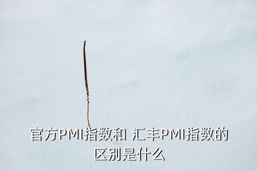 官方PMI指數(shù)和 匯豐PMI指數(shù)的區(qū)別是什么