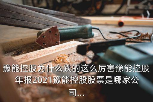 豫能控股為什么跌的這么厲害豫能控股 年報2021豫能控股股票是哪家公司...