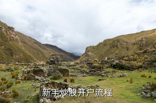 股票數(shù)字證書,股票開戶數(shù)字證書密碼是什么