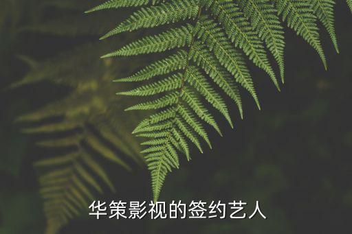 華策娛樂(lè)科技有限公司,哈爾濱工大華策科技有限公司