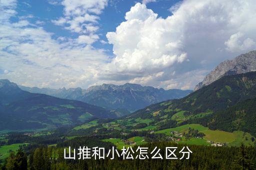 青島東碧山推機(jī)械有限公司,德楓丹(青島)機(jī)械有限公司