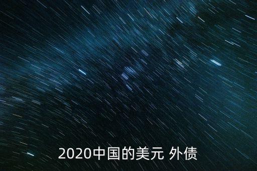 2020中國的美元 外債