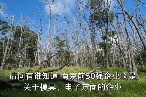 請問有誰知道 南京前50強企業(yè)啊是關(guān)于模具、電子方面的企業(yè)