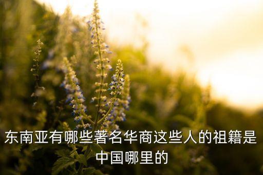 東南亞有哪些著名華商這些人的祖籍是中國哪里的