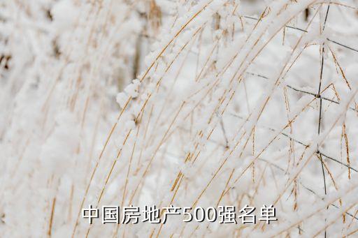 中國房地產(chǎn)500強(qiáng)名單