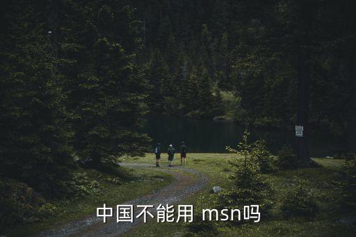 中國(guó)不能用 msn嗎