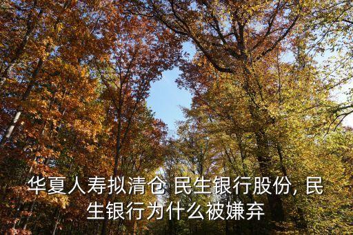 華夏人壽擬清倉 民生銀行股份, 民生銀行為什么被嫌棄