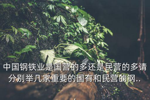 中國鋼鐵業(yè)是國營的多還是民營的多請分別舉幾家重要的國有和民營的鋼...