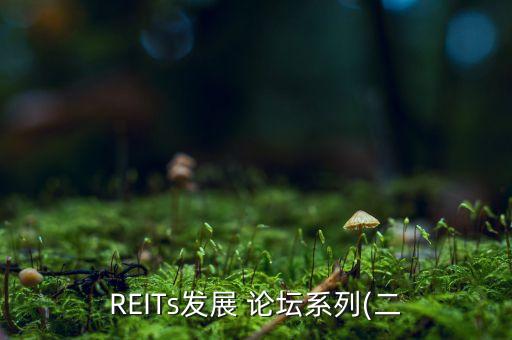 REITs發(fā)展 論壇系列(二