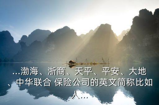 ...渤海、浙商、天平、平安、大地、中華聯(lián)合 保險(xiǎn)公司的英文簡(jiǎn)稱比如人...