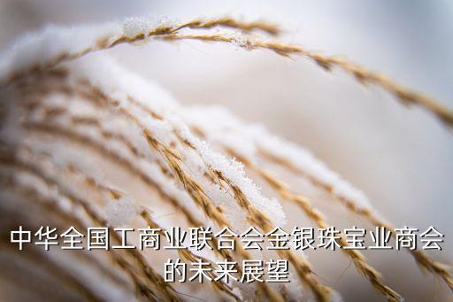 中華全國工商業(yè)聯(lián)合會(huì)金銀珠寶業(yè)商會(huì)的未來展望