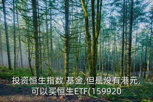 投資恒生指數(shù) 基金,但是沒有港元,可以買恒生ETF(159920