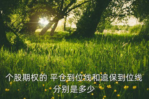 個(gè)股期權(quán)的 平倉(cāng)到位線和追保到位線分別是多少