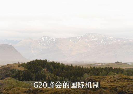 G20峰會(huì)的國(guó)際機(jī)制