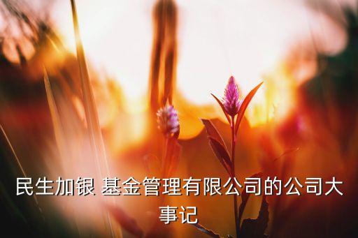 民生加銀 基金管理有限公司的公司大事記