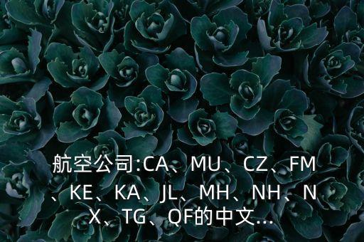  航空公司:CA、MU、CZ、FM、KE、KA、JL、MH、NH、NX、TG、QF的中文...