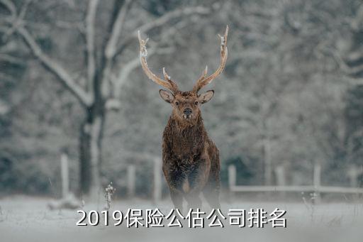 2019保險(xiǎn)公估公司排名