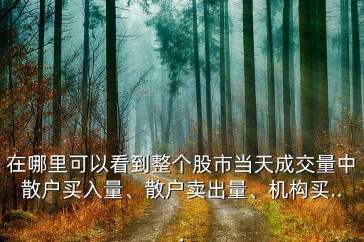 在哪里可以看到整個股市當天成交量中散戶買入量、散戶賣出量、機構買...