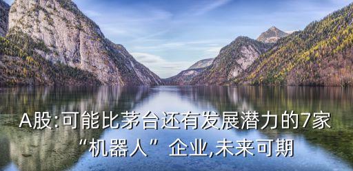 A股:可能比茅臺還有發(fā)展?jié)摿Φ?家“機(jī)器人”企業(yè),未來可期