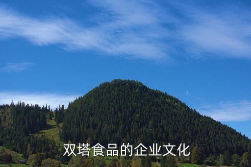 山東雙塔集團(tuán),雙塔集團(tuán)有限公司