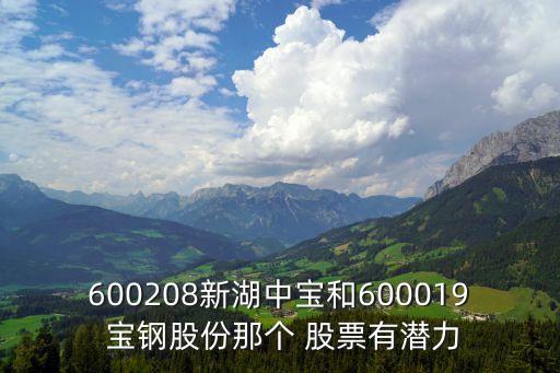 600208新湖中寶和600019 寶鋼股份那個 股票有潛力