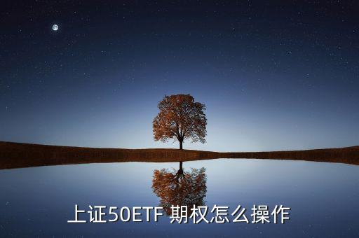 股票50etf期權,科創(chuàng)50ETF期權正式上市