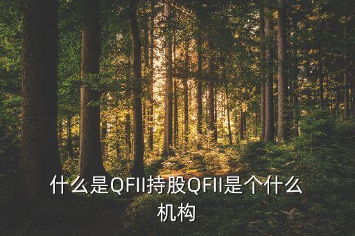 什么是QFII持股QFII是個什么機構(gòu)