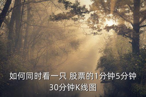 中投證券同時(shí)看幾只股票圖