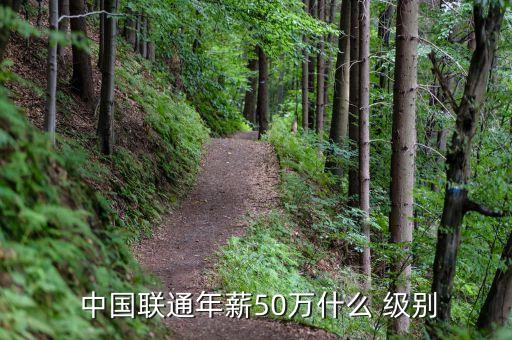  中國(guó)聯(lián)通年薪50萬(wàn)什么 級(jí)別