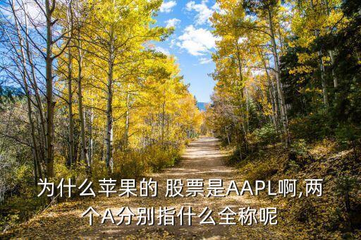 為什么蘋果的 股票是AAPL啊,兩個A分別指什么全稱呢