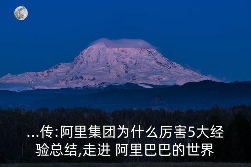 ...傳:阿里集團為什么厲害5大經驗總結,走進 阿里巴巴的世界