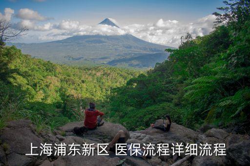  上海浦東新區(qū) 醫(yī)保流程詳細(xì)流程