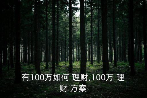 有100萬(wàn)如何 理財(cái),100萬(wàn) 理財(cái) 方案