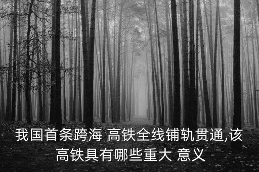 我國(guó)首條跨海 高鐵全線鋪軌貫通,該 高鐵具有哪些重大 意義