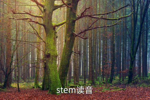 stemcells公司