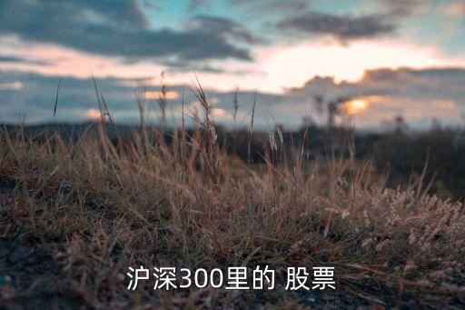 滬深300里的 股票