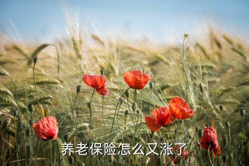 養(yǎng)老保險(xiǎn)怎么又漲了