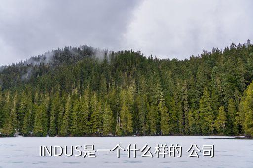 INDUS是一個什么樣的 公司