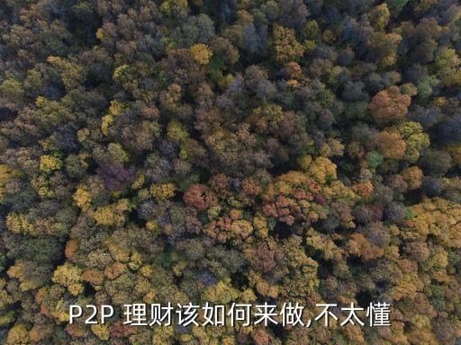 P2P 理財該如何來做,不太懂