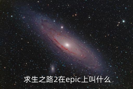  求生之路2在epic上叫什么