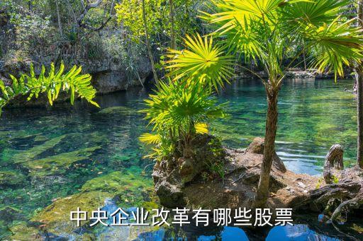 北方國際地產(chǎn)有限公司,中國國際地產(chǎn)投資有限公司