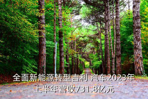 全面新能源轉(zhuǎn)型吉利 汽車2023年上半年營收731.8億元